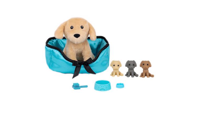 Dog toy shop box argos