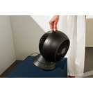 duux globe black