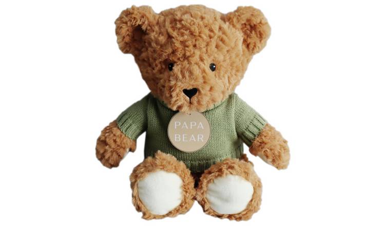 Argos Home 25cm Papa Bear Soft Toy