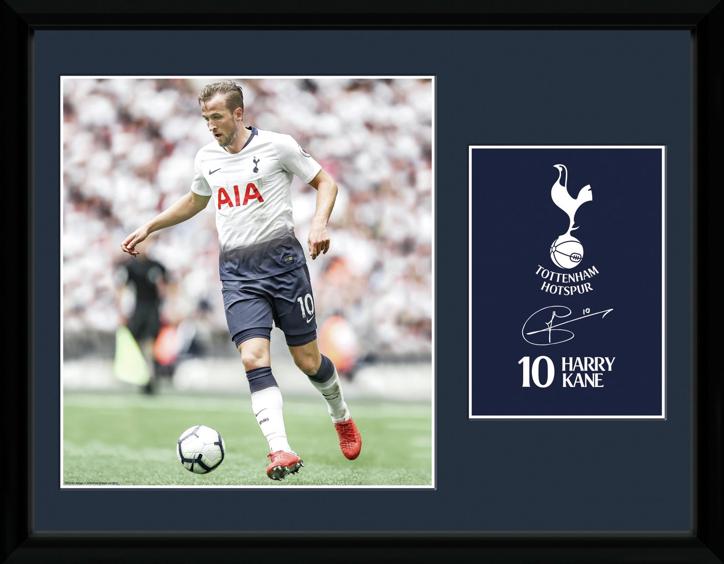 Tottenham FC Kane Framed Print