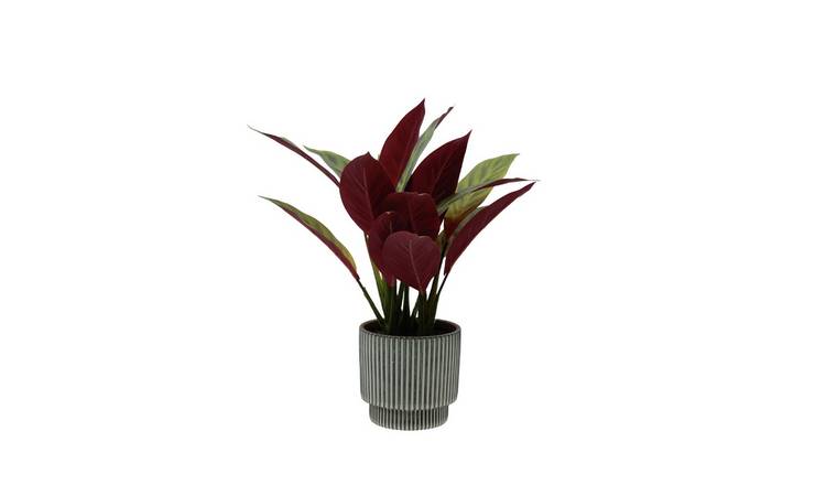 Artificial plants deals argos