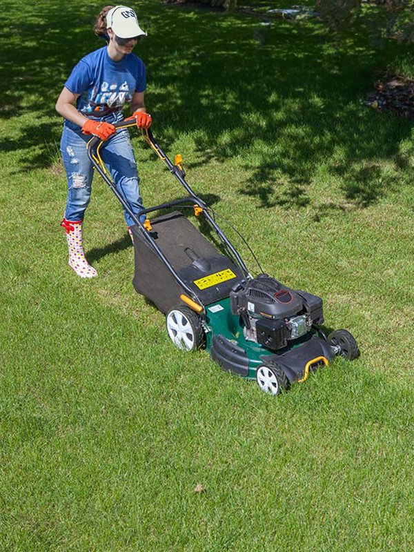 Lawn care tips. Give your lawn the TLC it deserves.