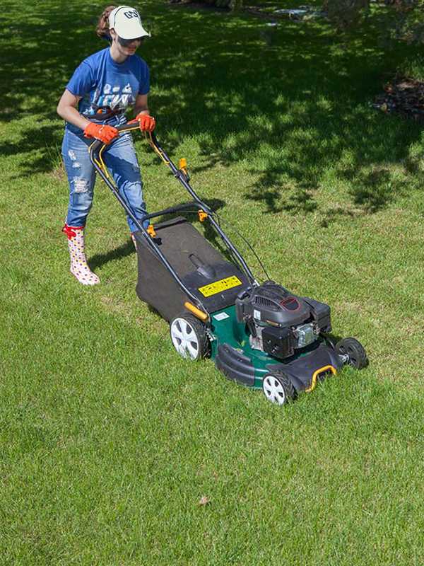 Lawn care tips. Give your lawn the TLC it deserves.