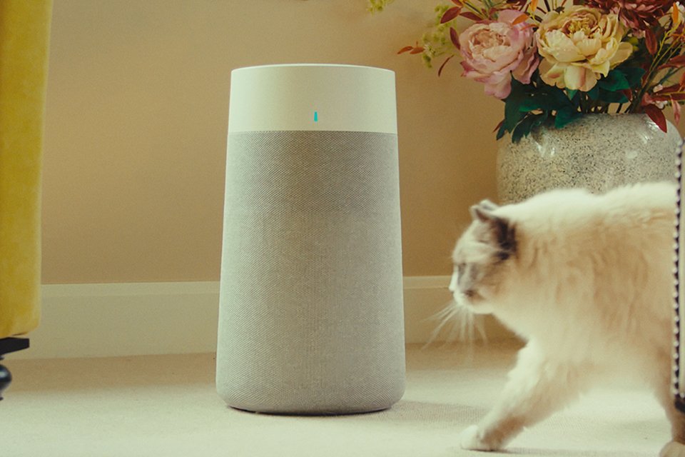 A Quiet Mark certified Blueair air purifier beside a fluffy cat and a flower vase in living room.