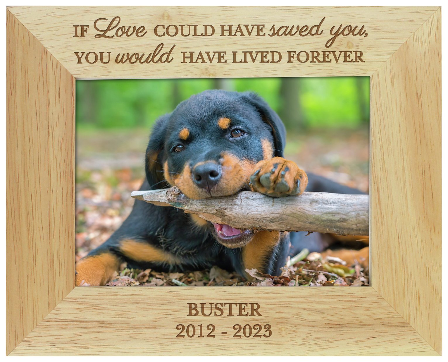 Personalised Message Pet Memorial Photo Frame - 25x20cm