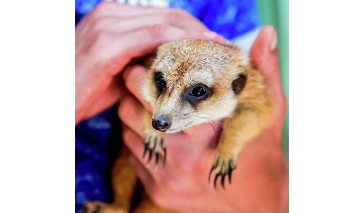 Activity Superstore Animal Encounters Gift Experience