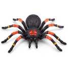 Argos store robo spider