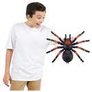 Robo spider hot sale argos