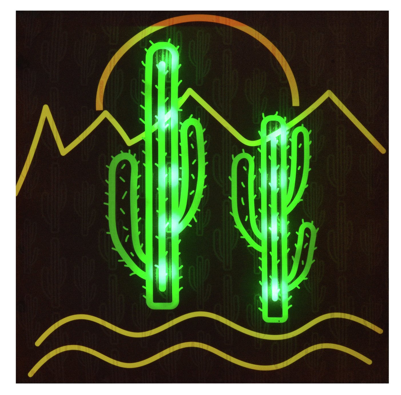 Innova Home LED Cactus Canvas