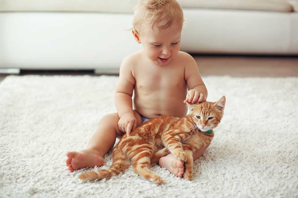 Baby safety and healthcare Argos