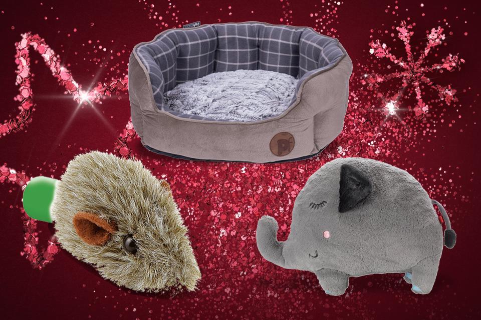 A selection of pet gifts including a dog bed and cuddly toys.