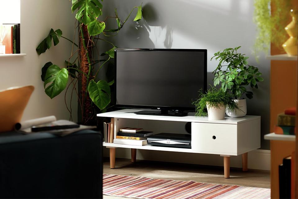 Scandi style tv unit next to large and small green plants.