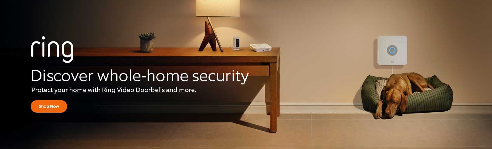 Blink Smart security and CCTV | Argos