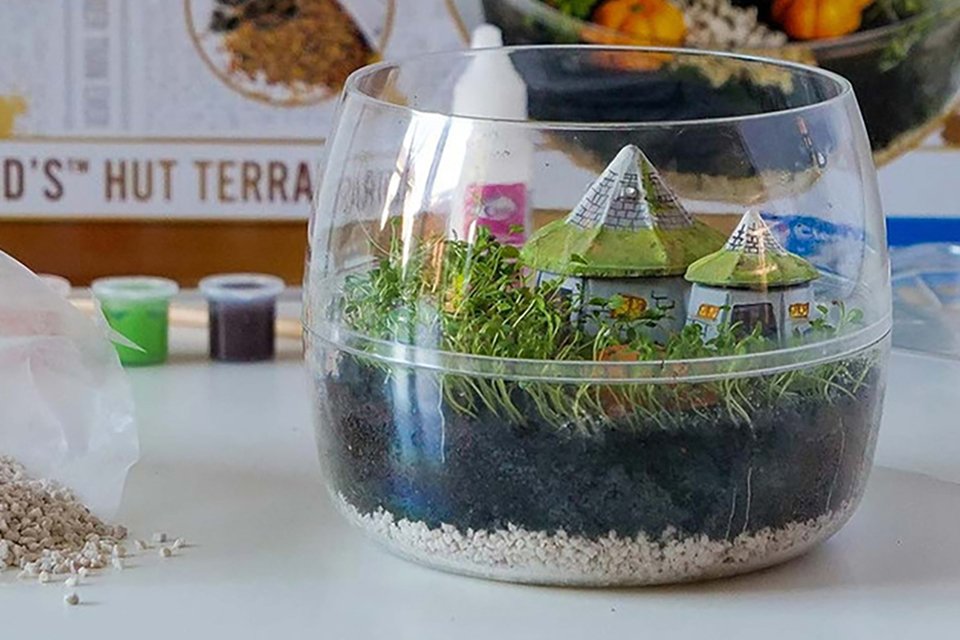 Menkind Harry Potter Hagrids Hut Terrarium.