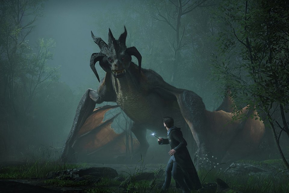 Hogwarts Legacy PS5 Game.