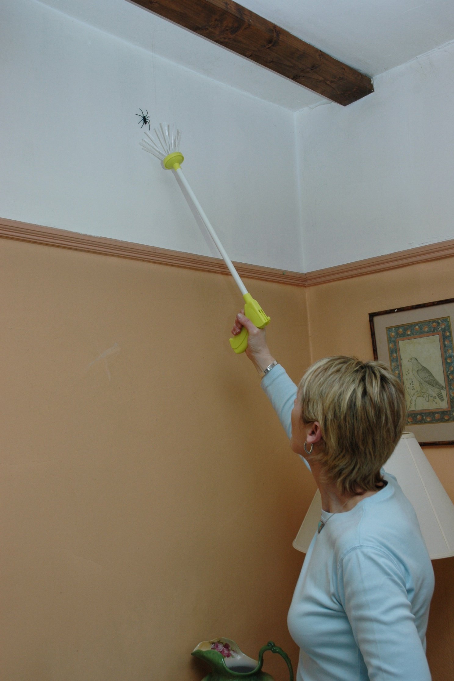 Spider Catcher Original. at Argos Reviews