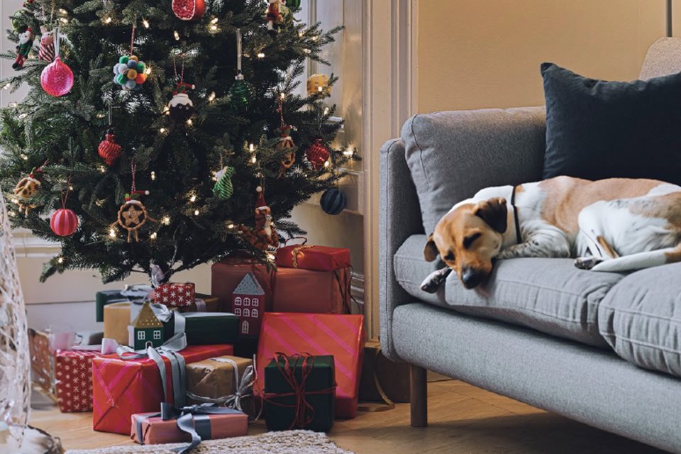 Christmas Gifts 2023 Christmas Presents Gift Ideas Argos