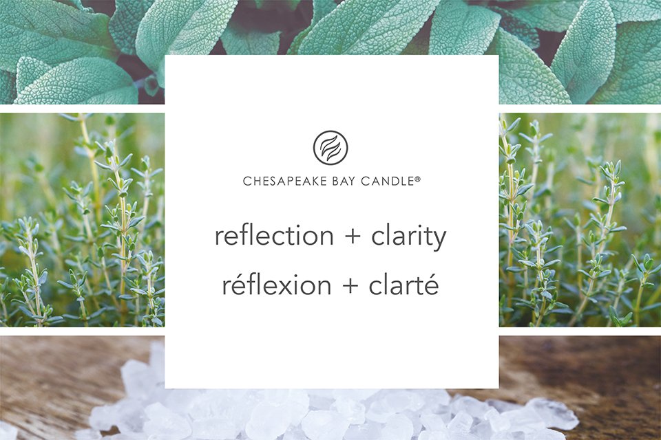 Collage of sea salt, sage and cyclamen signifying reflection and clarity.