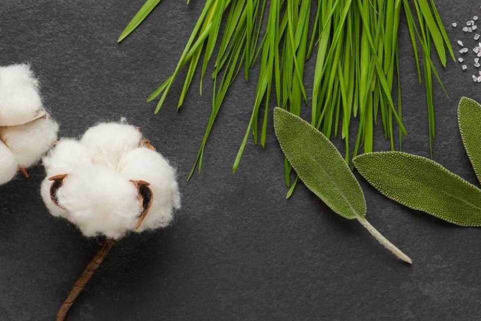 A flat lay of cotton and leaves against a black background.