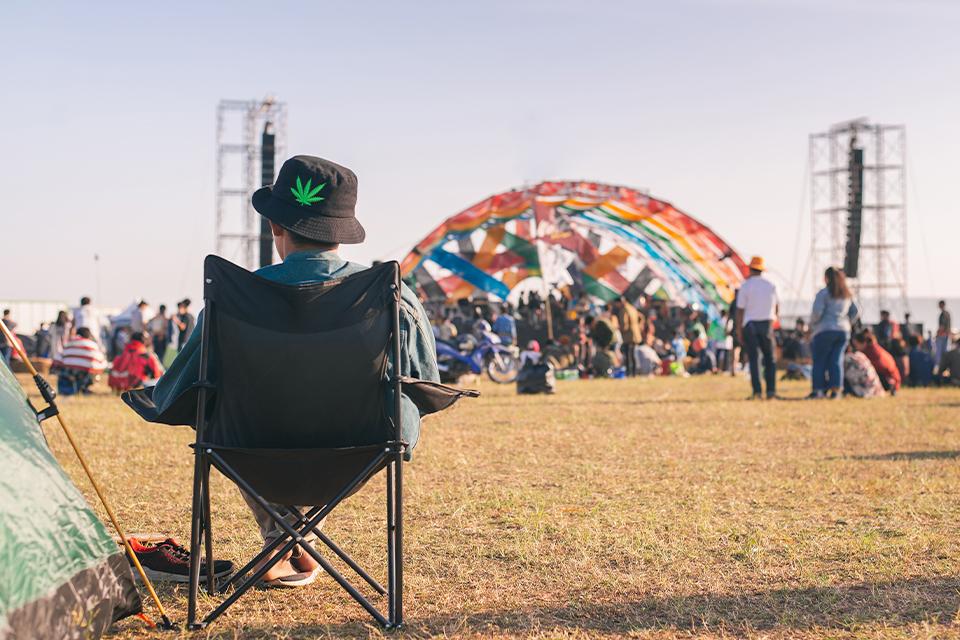 Festival Essentials Argos