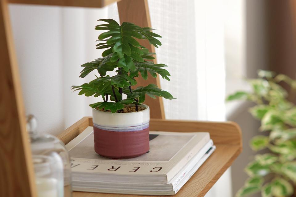 Image of a faux plant on a shelf.