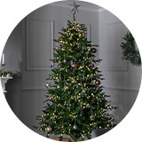 7ft trees.