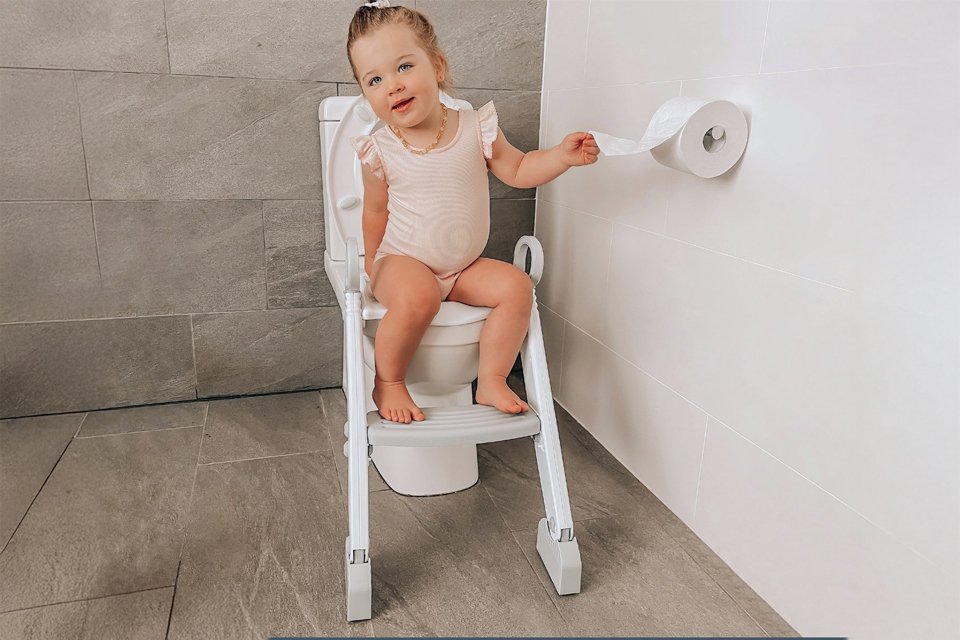 Dreambaby Potty Toilet Trainer Seat w/ladder - Grey.