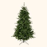 Trees & decorations.