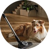 Miele Guard L1 Cat & Dog Pet Cylinder Corded Vacuum Cleaner.