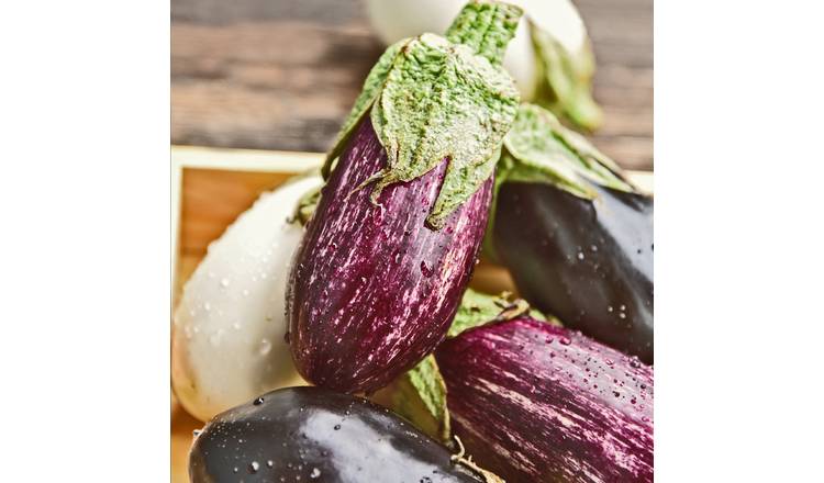Unwins Aubergine Seeds 'Patio Mix' - 10 Seeds