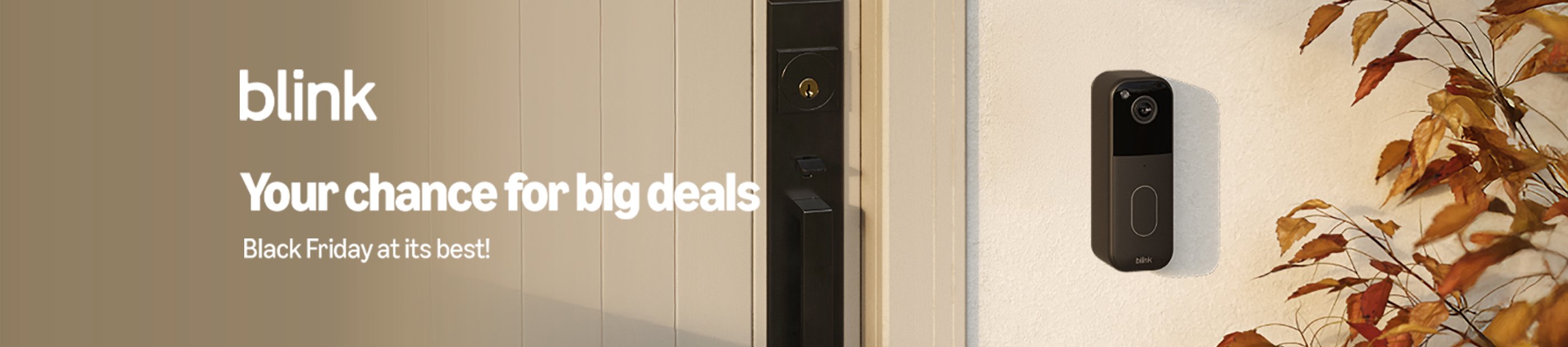 Blink. Your chances for big deals. Black Friday at its best!