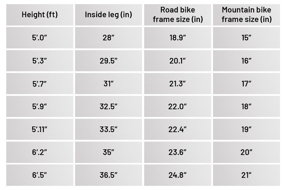Bike size infographic.