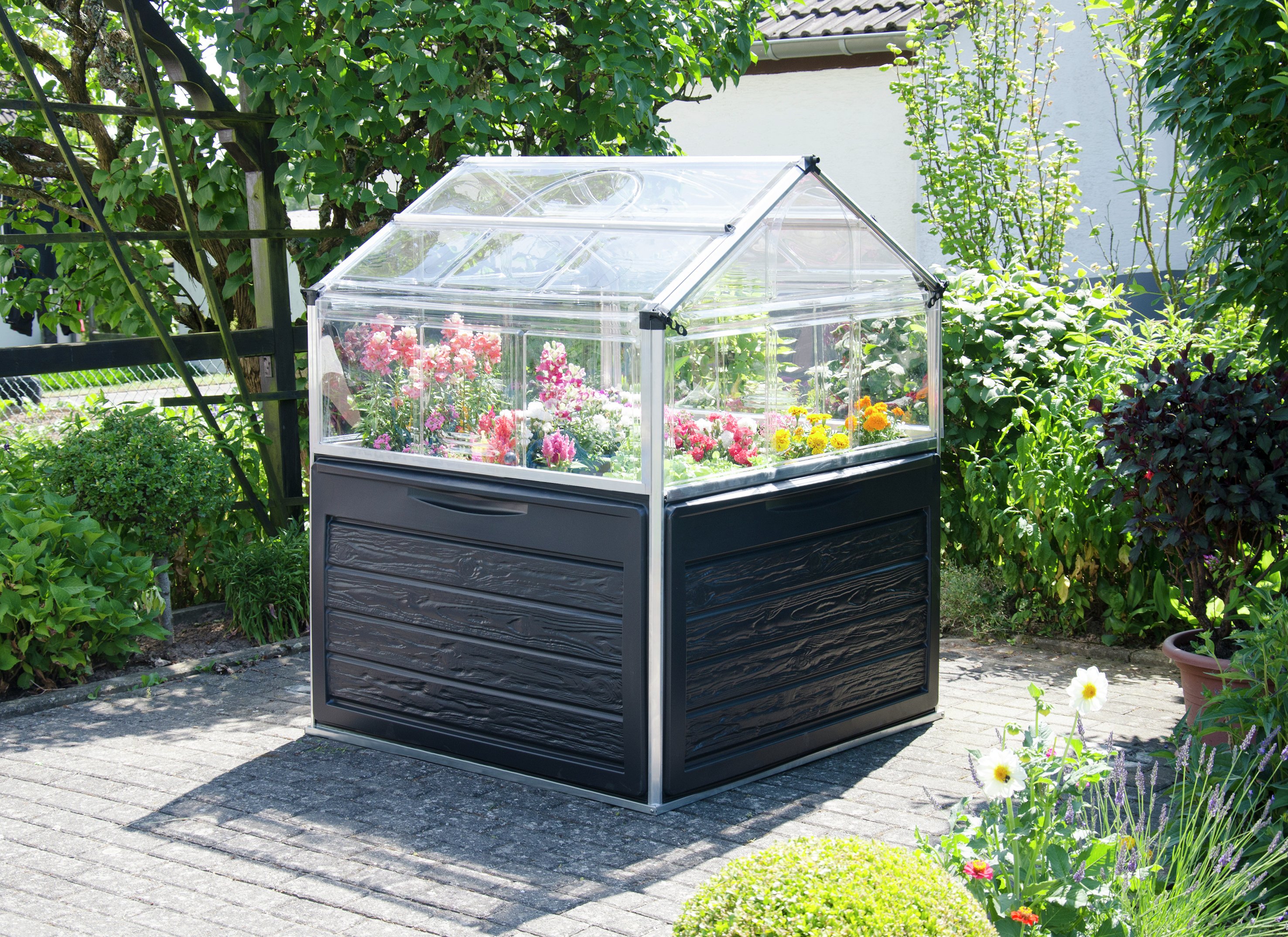 Palram Urban Gardenning Plant Inn Clear. at Argos Reviews