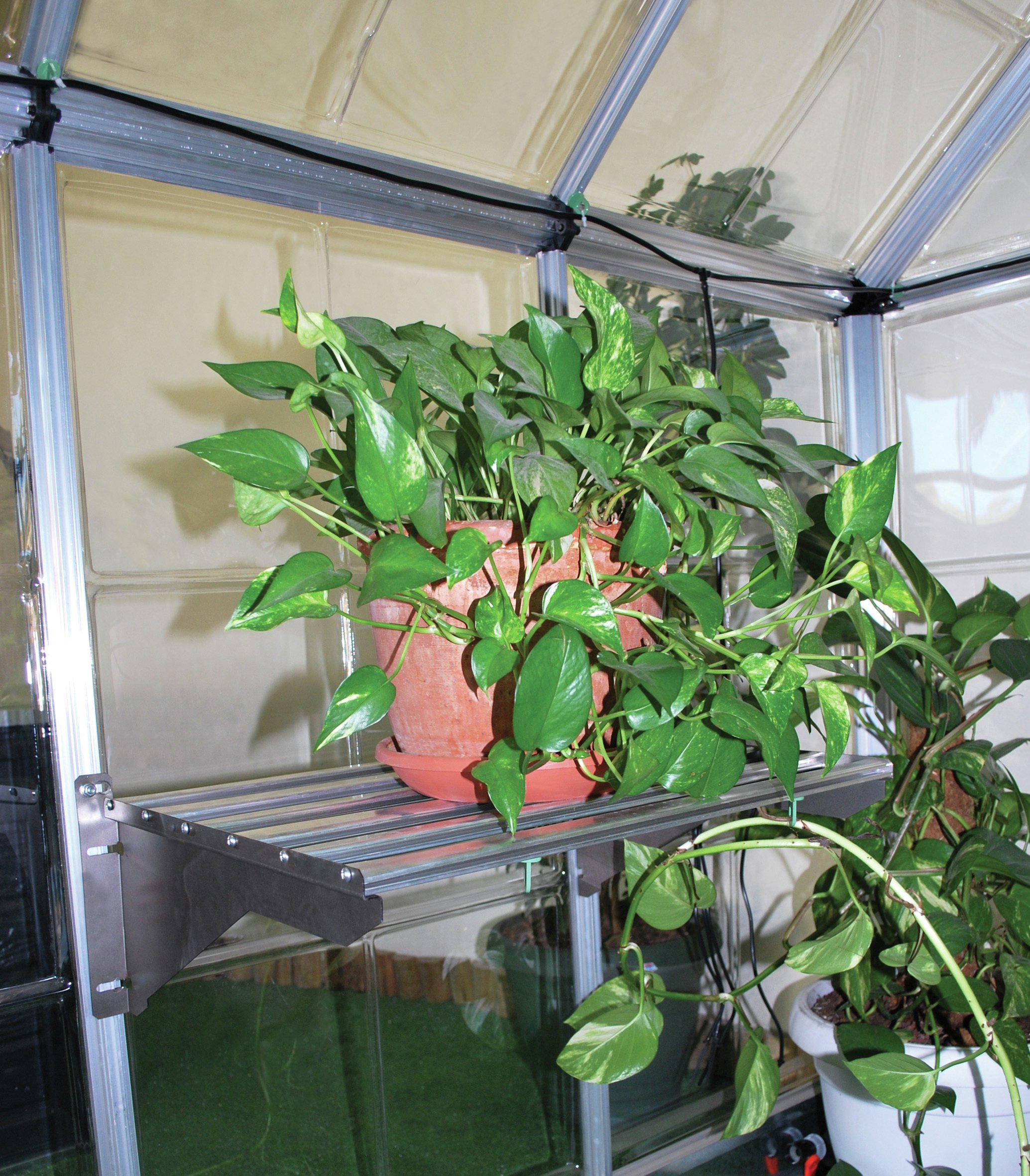 Palram Greenhouse Accessories Heavy Duty Shelf Kit. at Argos Reviews