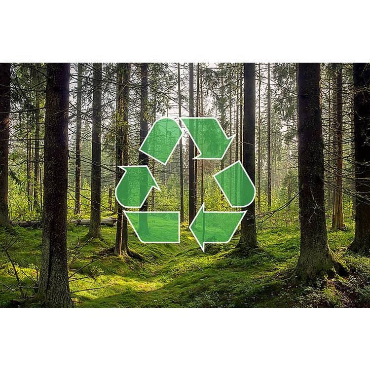 Recycling of Used Mattress 0