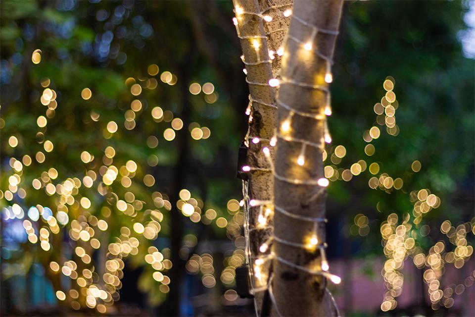 Outdoor Christmas Lights Decorations Ideas Argos