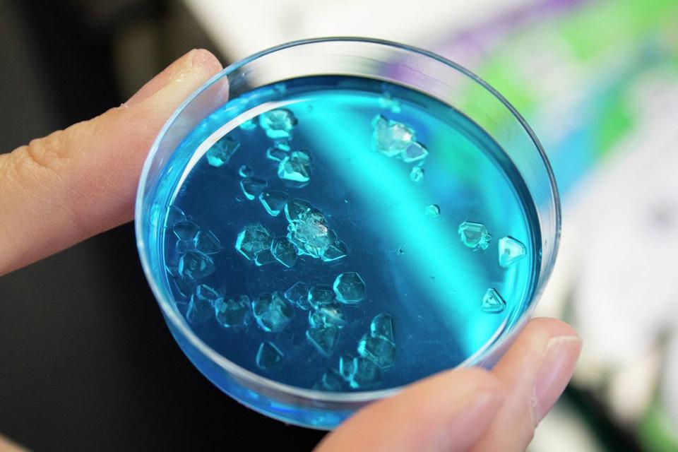 A toy petri dish with blue liquid and crystals.