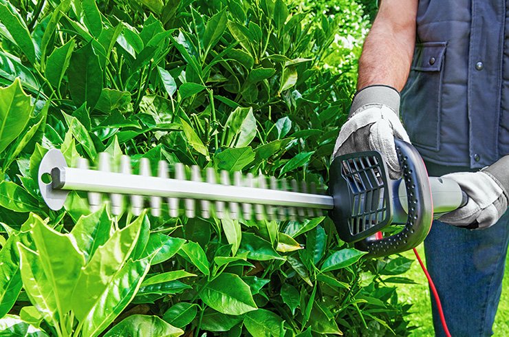 electric garden shears argos
