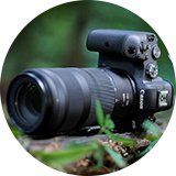 Canon RF 100-400mm f/5.6 - 8 IS USM Lens.