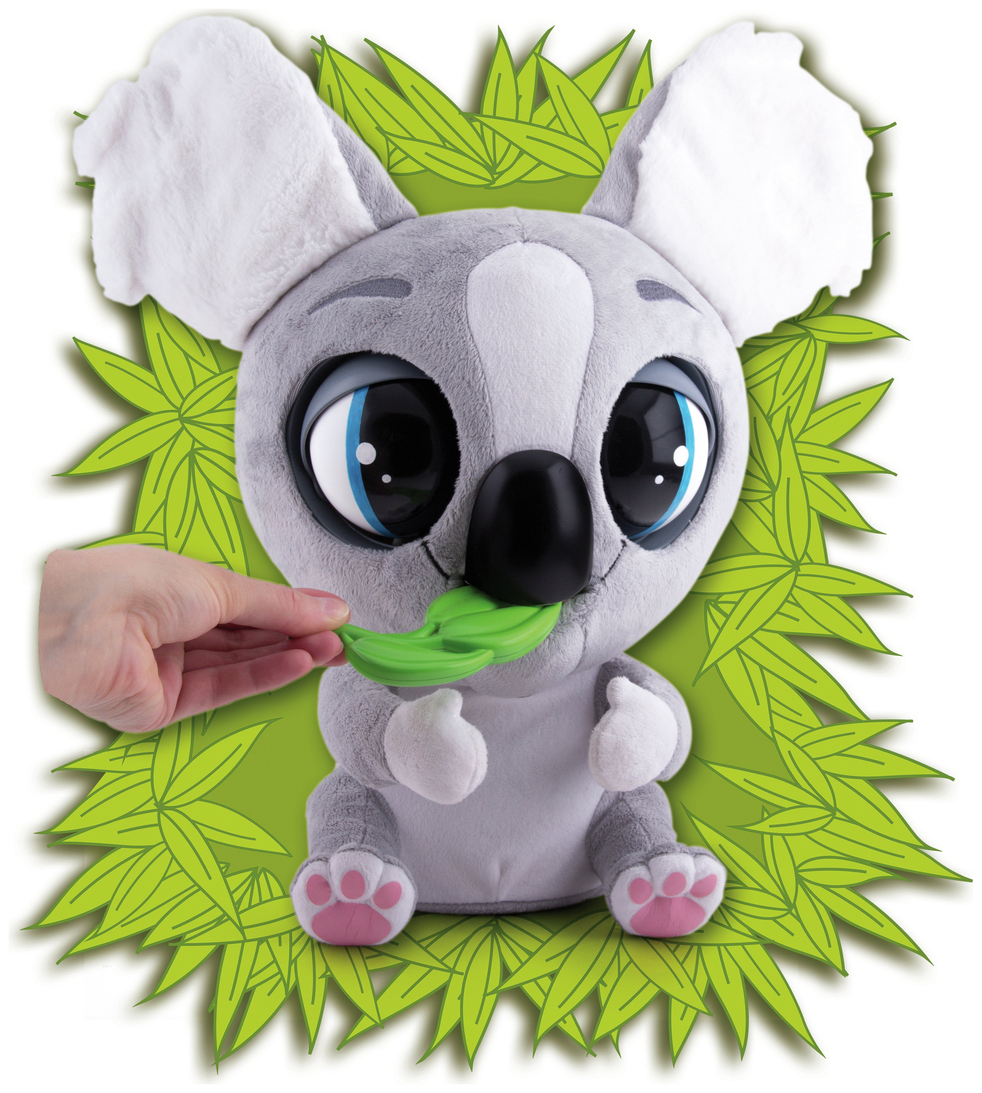 club petz koala