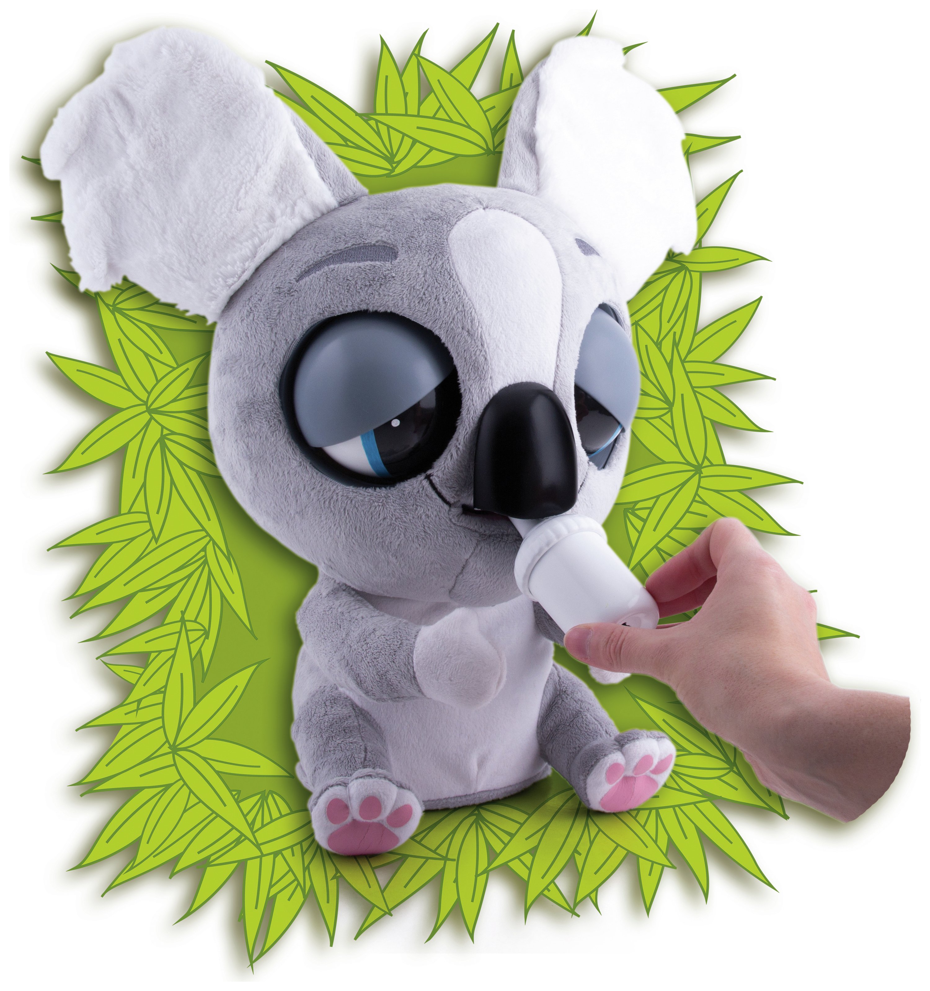 club petz koala