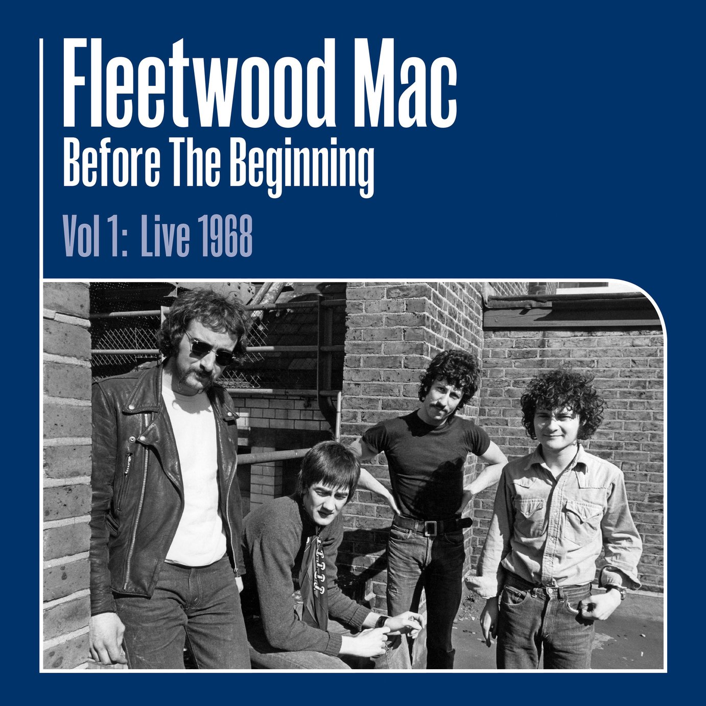 Fleetwood Mac Before The Beginning - Live Vinyl