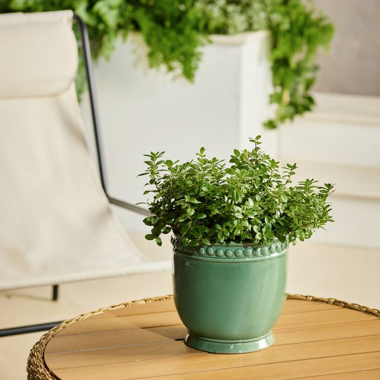 Home 20cm Bobble Scalloped Ceramic Planter 0