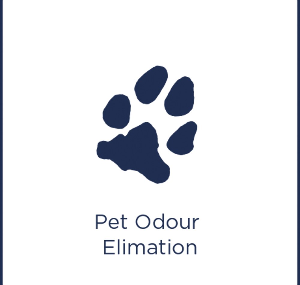 Bissell Pets Liquid with Scotchgard Cleaning Solution Reviews