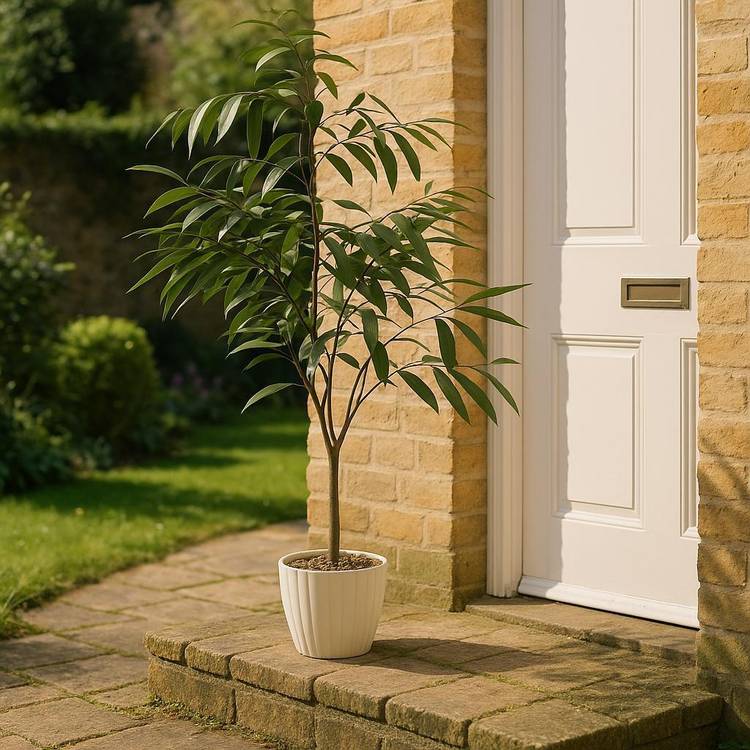 Home 55 inch Tall Faux Eucalyptus Tree 0