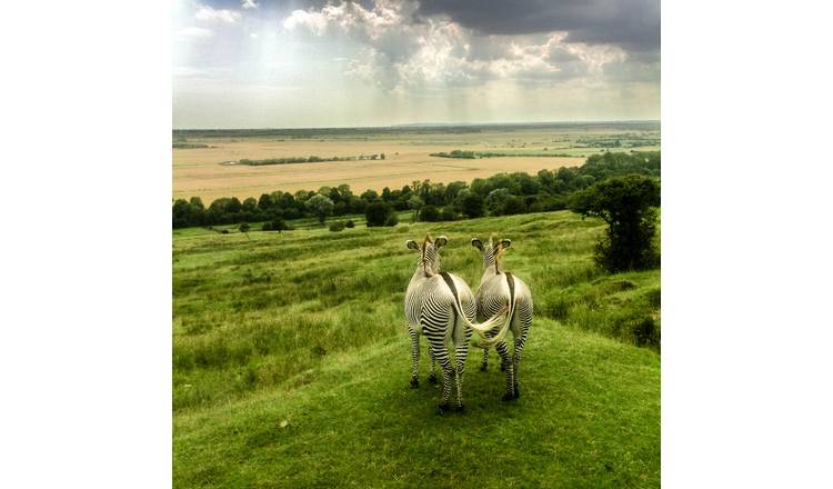 Buyagift Port Lympne Reserve Afternoon Tea Gift Experience