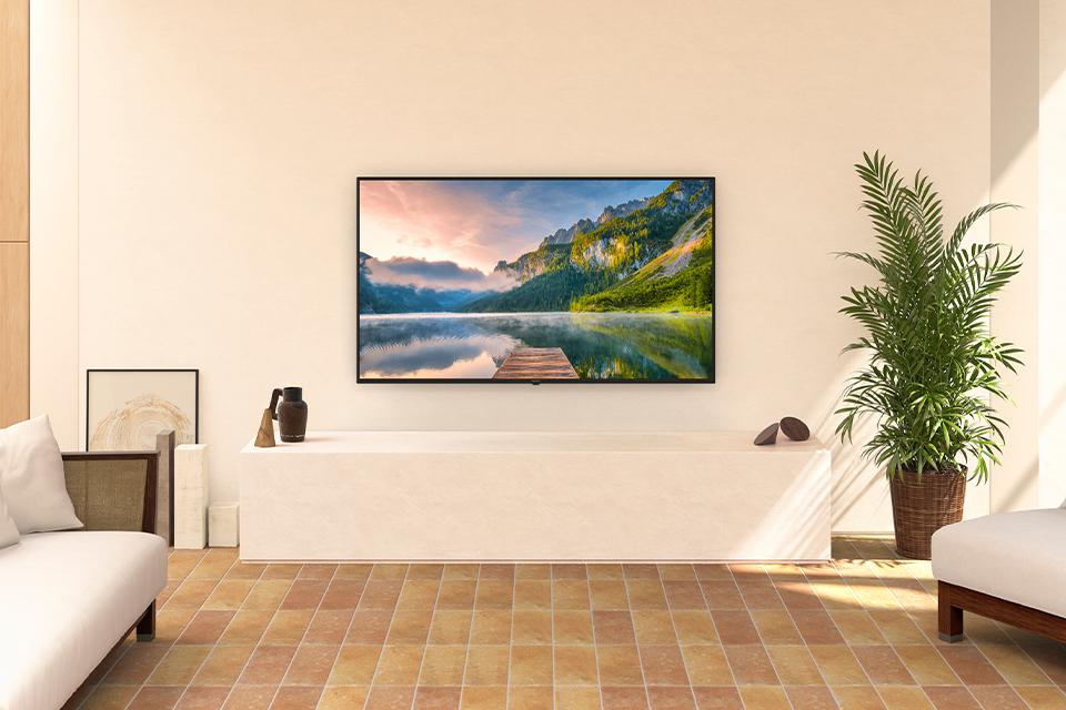 A Panasonic JX800 television is installed in a sunny living room.