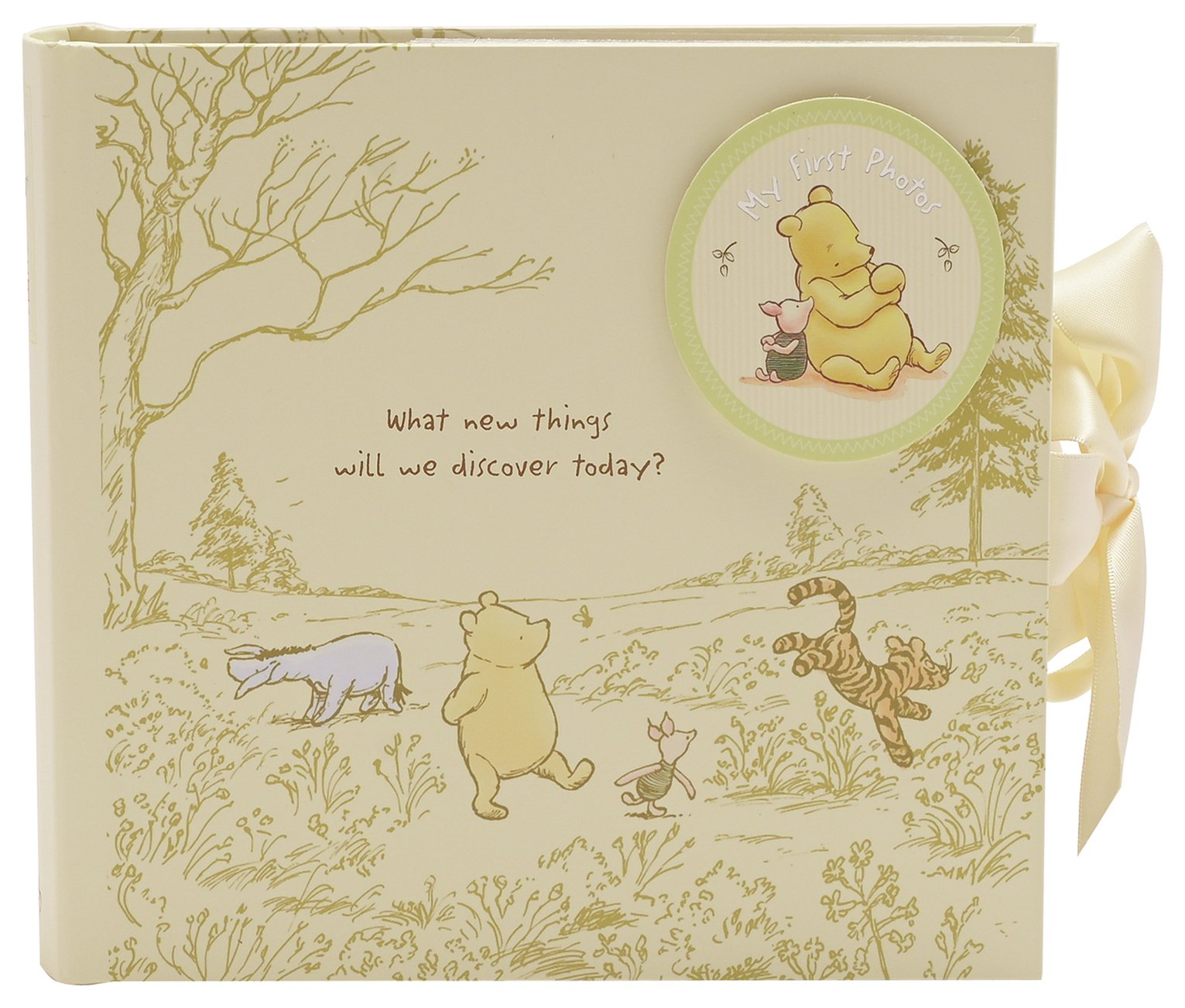 Buy Disney Classic Winnie The Pooh My First Photo Album | Picture