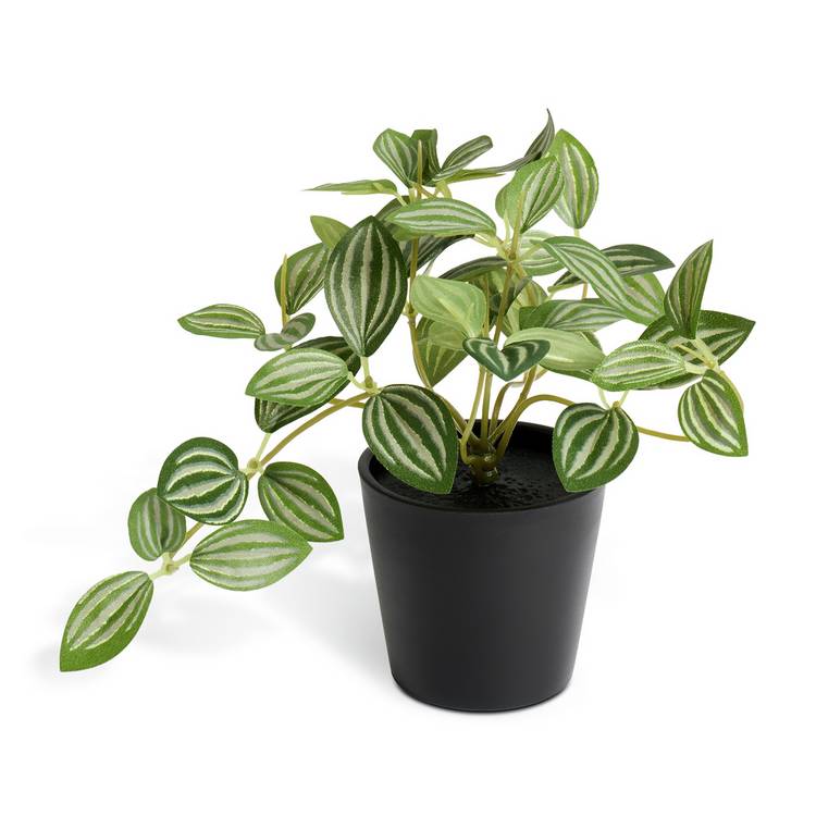 Habitat Artificial Green Small Trailing Plant - 17cm 0