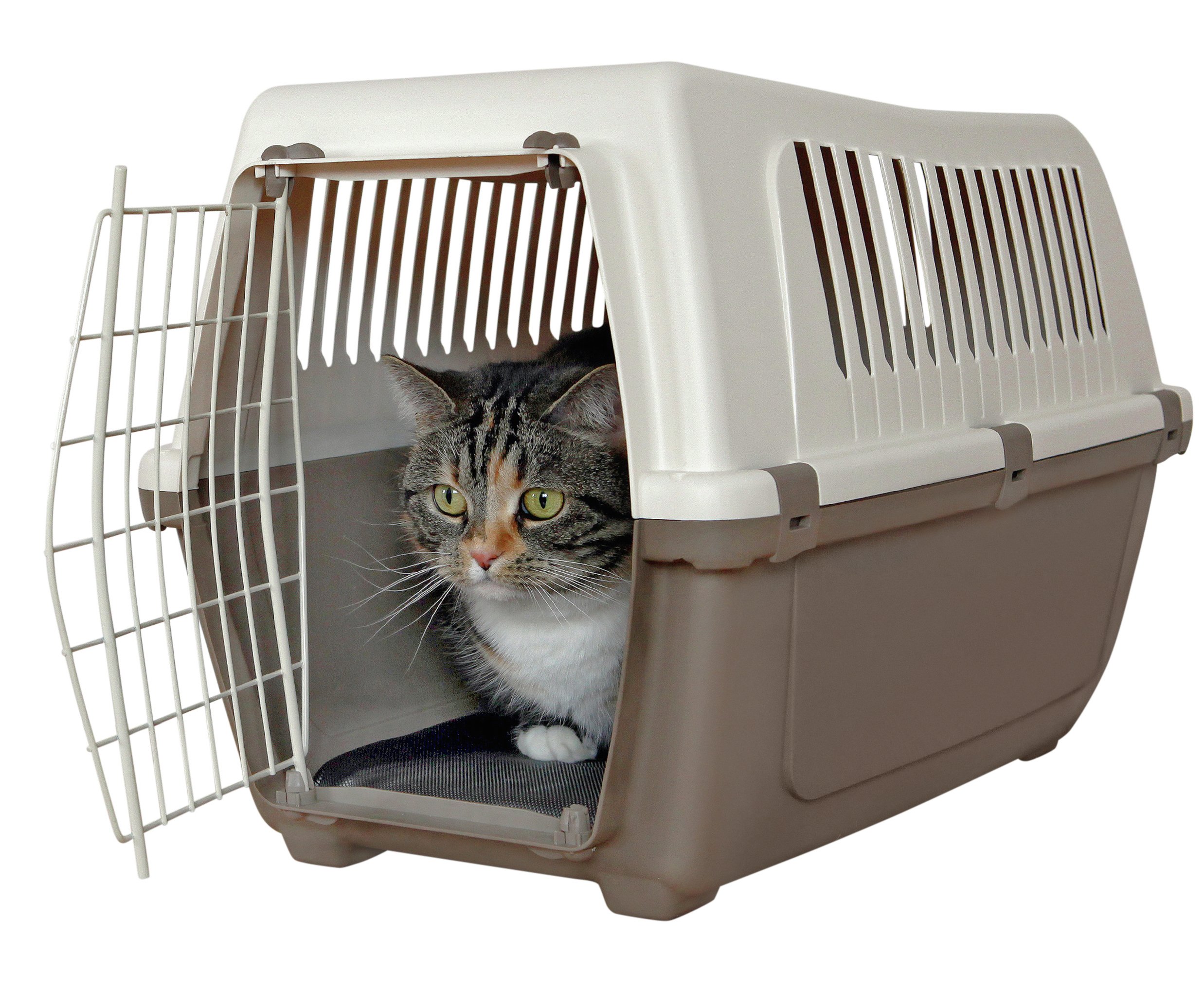 Rosewood Plastic Pet Carrier with Cushion Reviews